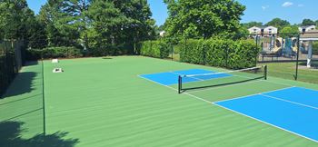 Multipurpose pickleball court and cornhole boards